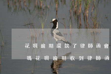 花唄逾期還款了律師函會(huì)撤回去嗎(花唄逾期收到律師函還能協(xié)商還款嗎)