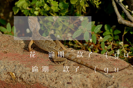 花唄逾期還款了關(guān)閉使用(花唄逾期還款了關(guān)閉使用)