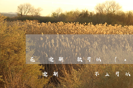 花唄逾期還款可以協(xié)商分期嗎(花唄逾期暫時還不上可以協(xié)商分期么)
