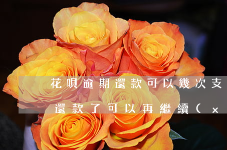 花唄逾期還款可以幾次(支付寶花唄逾期兩天還款了可以再繼續(xù)借嗎)