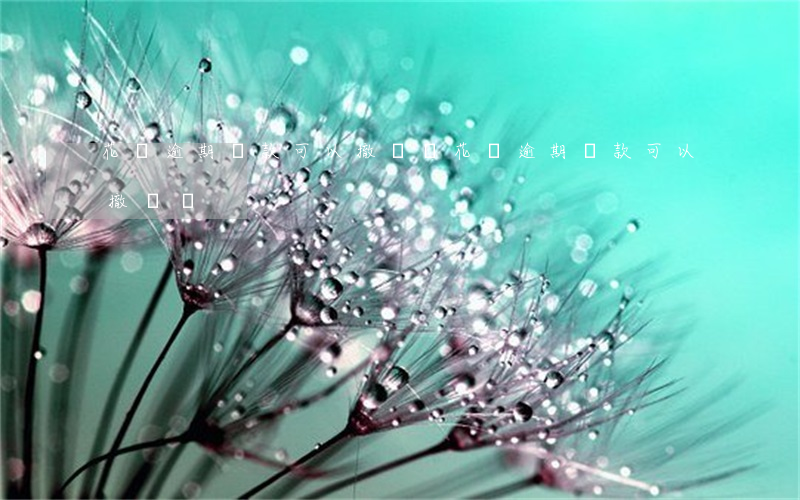 花唄逾期還款可以撤銷嗎(花唄逾期還款可以撤銷嗎)