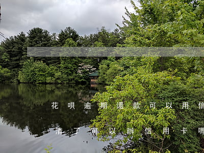 花唄逾期還款可以用信用卡嗎 花唄逾期后還清了可以辦信用卡嗎