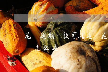 花唄逾期還款可以退嗎(花唄逾期還款可以退嗎怎么退)