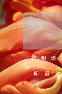 花唄逾期還款后3天內可以使用嗎-花唄逾期還款后3天內可以使用嗎