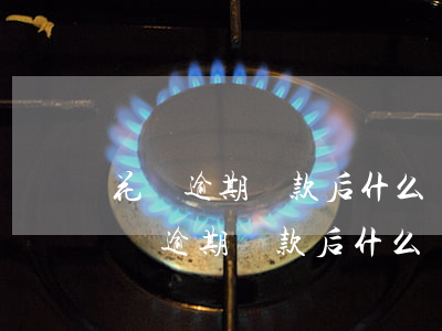 花唄逾期還款后什么時候可以恢復使用-花唄逾期還款后什么時候可以恢復使用額度