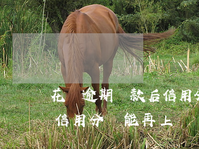 花唄逾期還款后信用分(花唄逾期還款后芝麻信用分還能再上嗎)