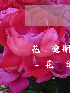 花唄逾期還款后多久才能繼續(xù)使用-花唄逾期還款后多久才能繼續(xù)使用額度