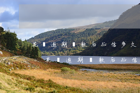 花唄逾期還款后征信多久會(huì)取消-花唄逾期還款后征信多久會(huì)取消掉