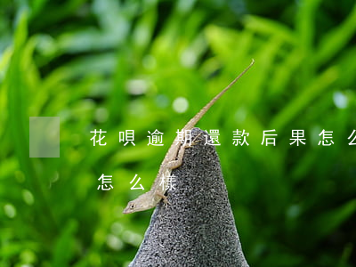 花唄逾期還款后果怎么樣(花唄逾期還款后果怎么樣)