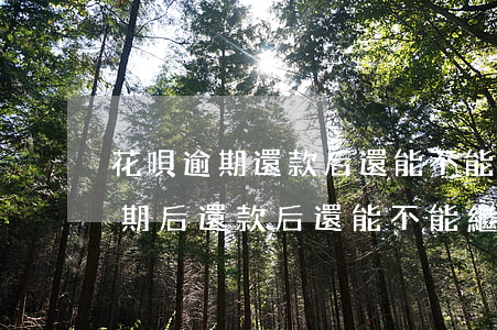 花唄逾期還款后還能不能正常使用-花唄逾期后還款后還能不能繼續(xù)使用