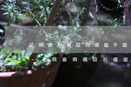 花唄逾期還款后還能不能繼續(xù)使用-花唄逾期還款后還能不能繼續(xù)使用花唄了