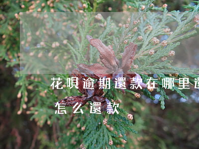 花唄逾期還款在哪里還(我的支付寶花唄逾期怎么還款)