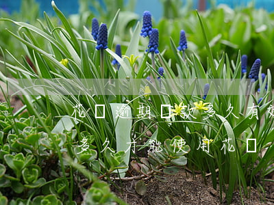 花唄逾期還款多久有效(花唄逾期半年還款后多久才能使用花唄)