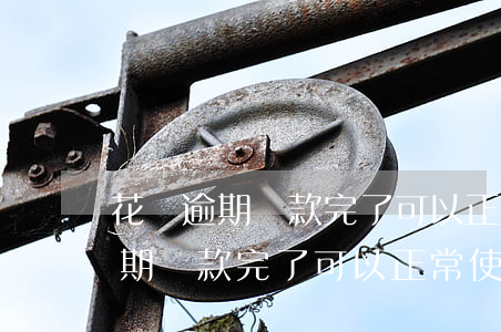 花唄逾期還款完了可以正常使用嗎-花唄逾期還款完了可以正常使用嗎