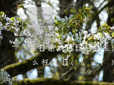 花唄逾期還款影響征信不(花唄逾期還款到什么程度會(huì)影響個(gè)人征信)