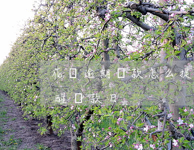 花唄逾期還款怎么提醒(如何取消花唄短信提醒還款日)