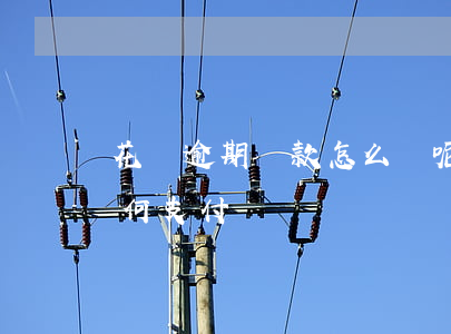 花唄逾期還款怎么還呢(花唄逾期了淘寶還如何支付)
