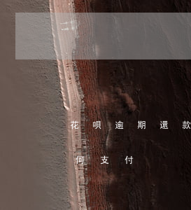 花唄逾期還款怎么還款(花唄逾期了淘寶還如何支付)