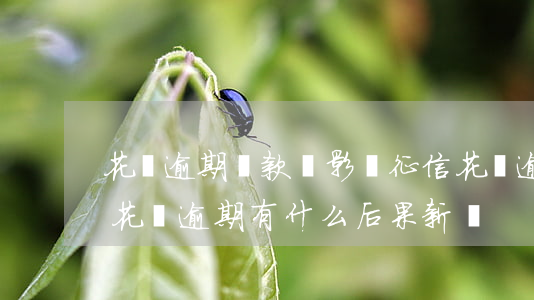 花唄逾期還款會影響征信(花唄逾期上征信嗎?花唄逾期有什么后果 新聞)