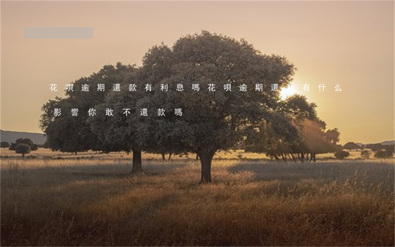 花唄逾期還款有利息嗎(花唄逾期還款有什么影響?你敢不還款嗎)