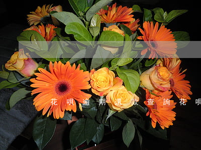 花唄逾期還款查詢(花唄逾期還款查詢方法)