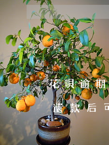 花唄逾期還款能恢復(fù)嗎(花唄有逾期還款后可以立即恢復(fù)使用嗎)