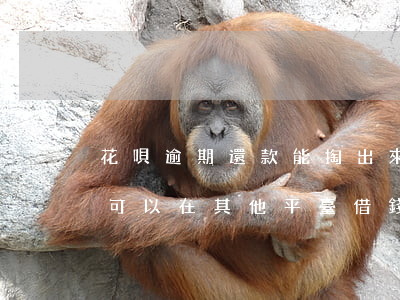 花唄逾期還款能掏出來嗎(花唄逾期還完了還可以在其他平臺借錢嗎)