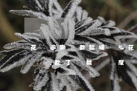 花唄逾期還款能提額么(花唄逾期了兩個月全額還款了還能漲額度嗎)