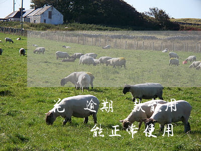 花唄逾期還款能用嗎嗎 花唄逾期后再還款,花唄還能正常使用嗎?