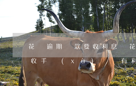 花唄逾期還款要收利息嗎(花唄逾期下月還款收手續(xù)費還有利息嗎)
