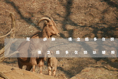 花唄逾期還清之后多久可以使用-花唄逾期還清之后多久可以使用花唄