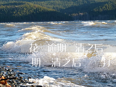 花唄逾期還清之后還會打電話來嗎-花唄逾期還清之后還會打電話來嗎是真的嗎
