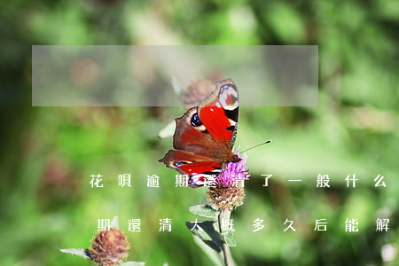 花唄逾期還清了一般什么時候解凍-花唄逾期還清大概多久后能解除限制