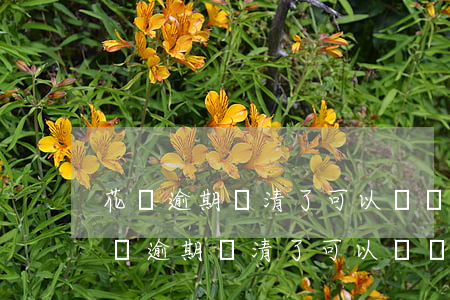 花唄逾期還清了可以辦銀行分期付款嗎-花唄逾期還清了可以辦銀行分期付款嗎
