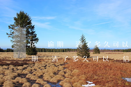 花唄逾期還清了多久可以辦信用卡-花唄逾期還清了多久可以辦信用卡了