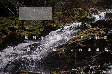 花唄逾期還清了多久時間才能解封(花唄逾期還清大概多久后能解除限制)