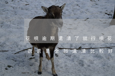 花唄逾期還清了就行唄(花唄逾期是還清逾期款還是全部還清比較好)
