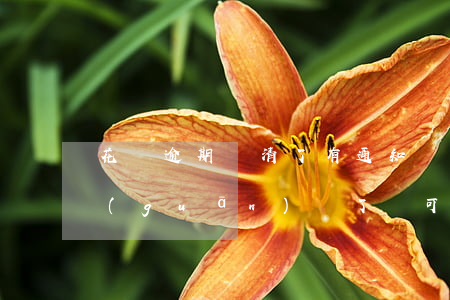花唄逾期還清了有通知嗎(花唄逾期還清了關(guān)閉了還可以開通嗎)