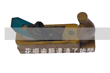 花唄逾期還清了能開通網(wǎng)商銀行嘛-花唄逾期還清了能開通網(wǎng)商銀行嘛安全嗎
