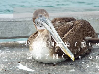 花唄逾期還清了關(guān)閉(花唄逾期還清了關(guān)閉了還可以開通嗎)