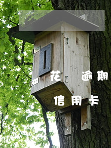 花唄逾期還清可以辦信用卡(花唄逾期了能辦信用卡嗎?)
