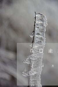 花唄逾期還清后怎么處理(花唄逾期了,現(xiàn)在還了,怎么可以恢復(fù)使用)