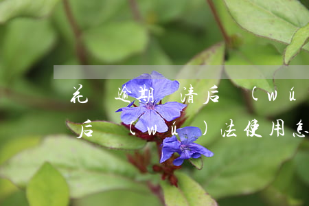 花唄逾期還清后無(wú)法使用(花唄還完后無(wú)法使用怎么辦沒有逾期)