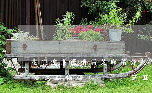 花唄逾期還清后芝麻積分(花唄逾期后還清了多久能恢復(fù)芝麻信用分)