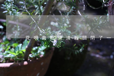 花唄逾期還清后關閉了一段時間-