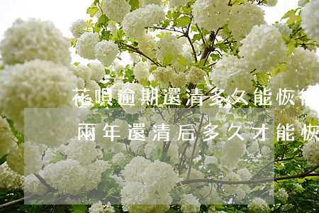 花唄逾期還清多久能恢復(fù)(花唄逾期兩年還清后多久才能恢復(fù)使用)