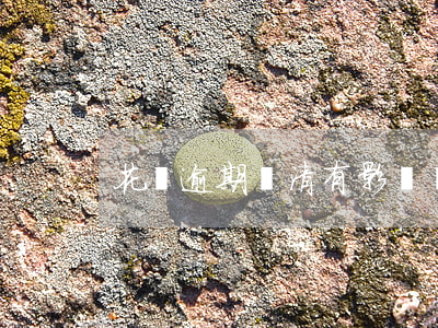 花唄逾期還清有影響嗎