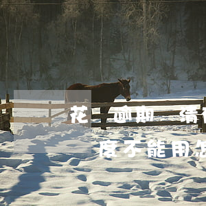 花唄逾期還清有額度不能用(花唄逾期還清有額度不能用怎么辦)