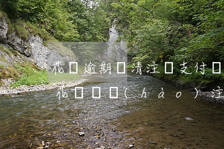 花唄逾期還清注銷支付寶賬號(hào)-花唄賬號(hào)注銷了還要還款嘛