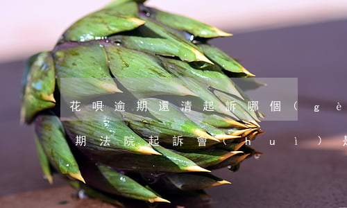花唄逾期還清起訴哪個(gè)法院(花唄逾期法院起訴會(huì)是什么結(jié)果呢?)